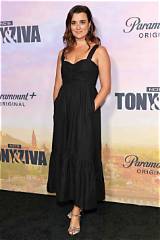 A Glimpse of Cote De Pablo's Adorable Daughter