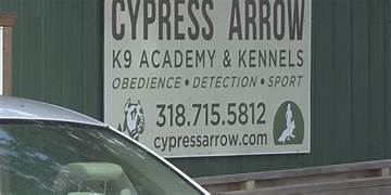 Investigating the Abuse Allegations at Cypress Arrow K9 Academy